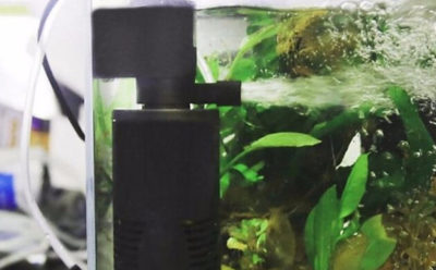 Как сделать внешний фильтр для аквариума своими руками?