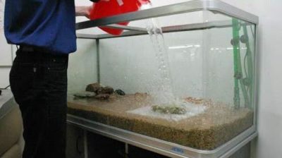 Топ-11 причин, почему воняет вода в аквариуме. Что делать при появлении неприятного запаха?