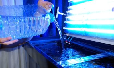 Подготовка водопроводной воды для аквариума | Аквариум в бутылке | Акваскейпинг | Дзен