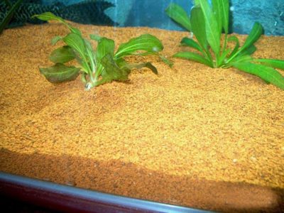 Питательный грунт для аквариума -Статьи об аквариумах и их обитателях -Статьи и Новости
