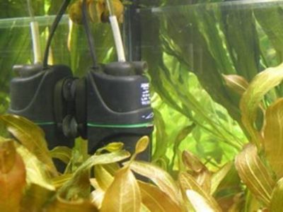 Как правильно подготовить воду для аквариума?