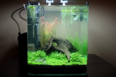 Изготовление аквариумного фильтра в домашних условиях.