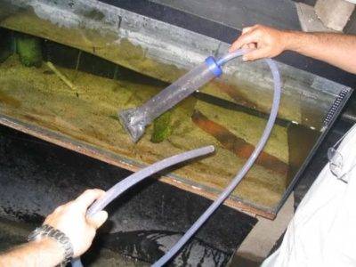 Как работает сифон для аквариума: принципы и классификация